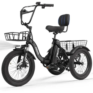 E Trike Electric Bike 1200W
